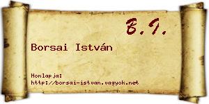 Borsai István névjegykártya